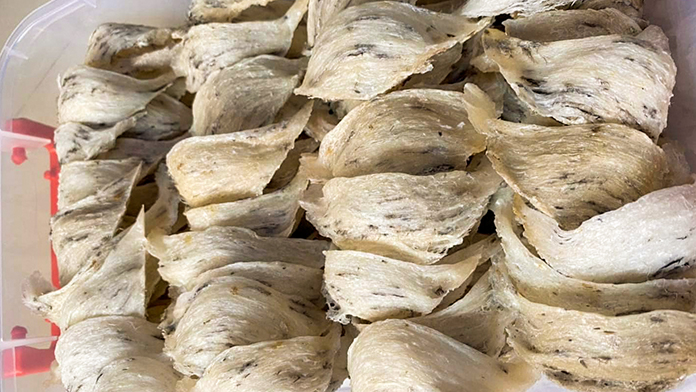 Bán Yến Thô Nguyên Tổ